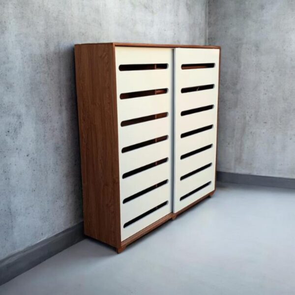 Modern Shoeracks with Sliding Doors